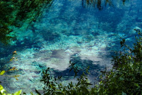 Rainbow Springs