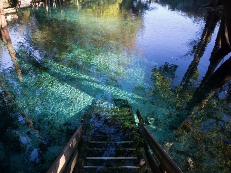 Ginnie Springs