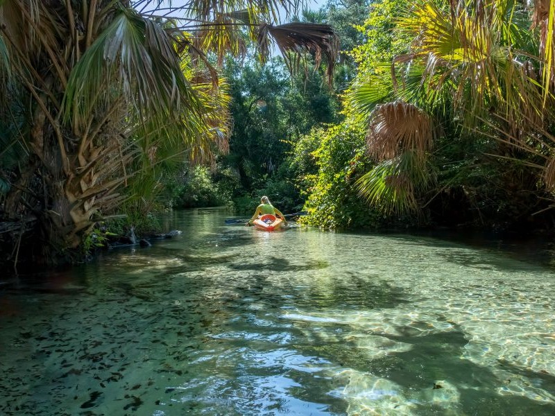 Juniper Springs