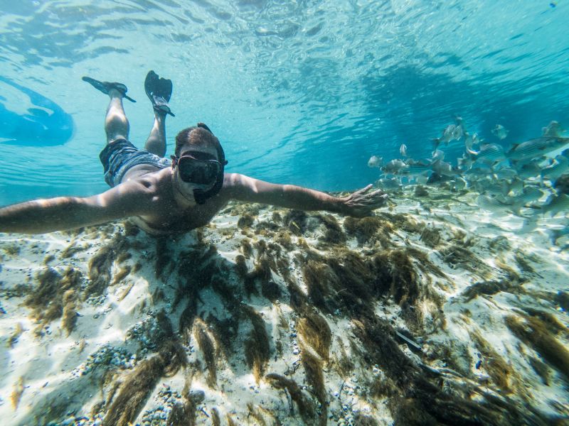 Swimming in Springs with Fish