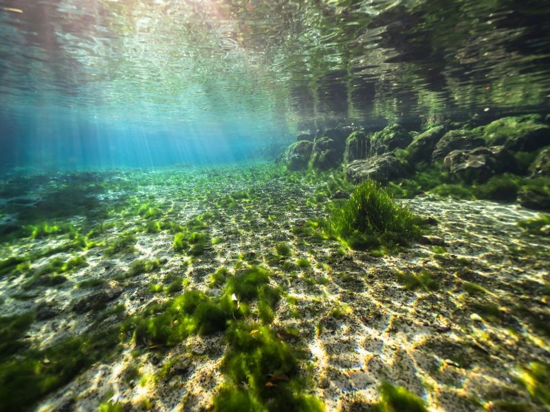 Three Sisters Springs